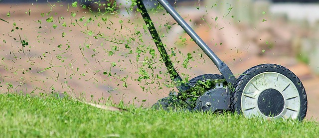 Piękna trawa cały rok: porady od ekspertów w zakresie trawników